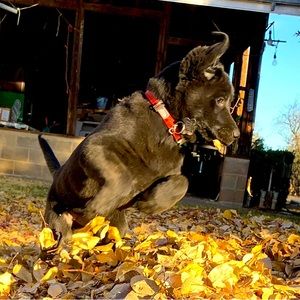 Meet your Posher, Kimberlee